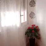 El Piso De Kassandra *